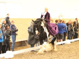 IMG_5414_web